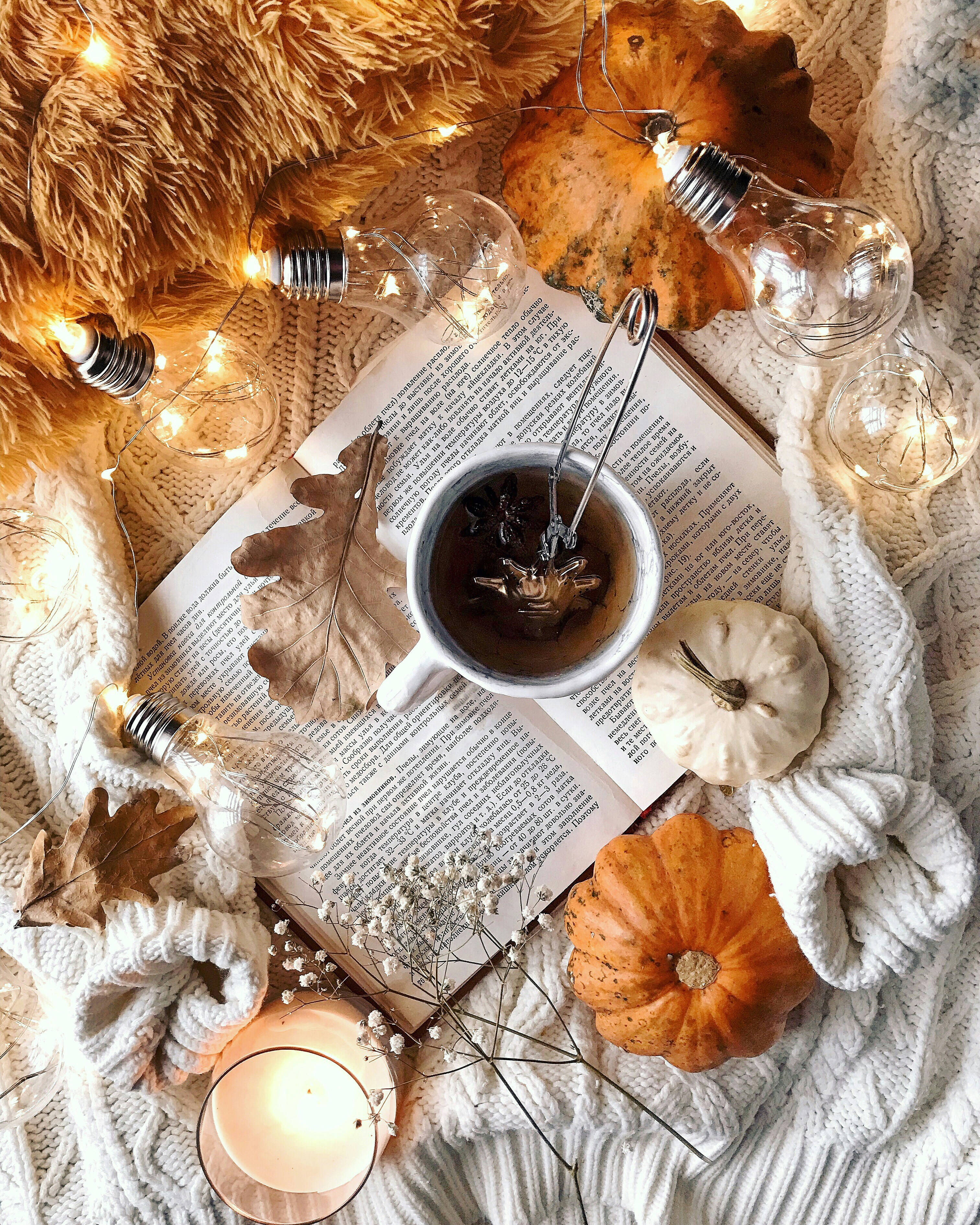 Cozy Autumn Flat Lay