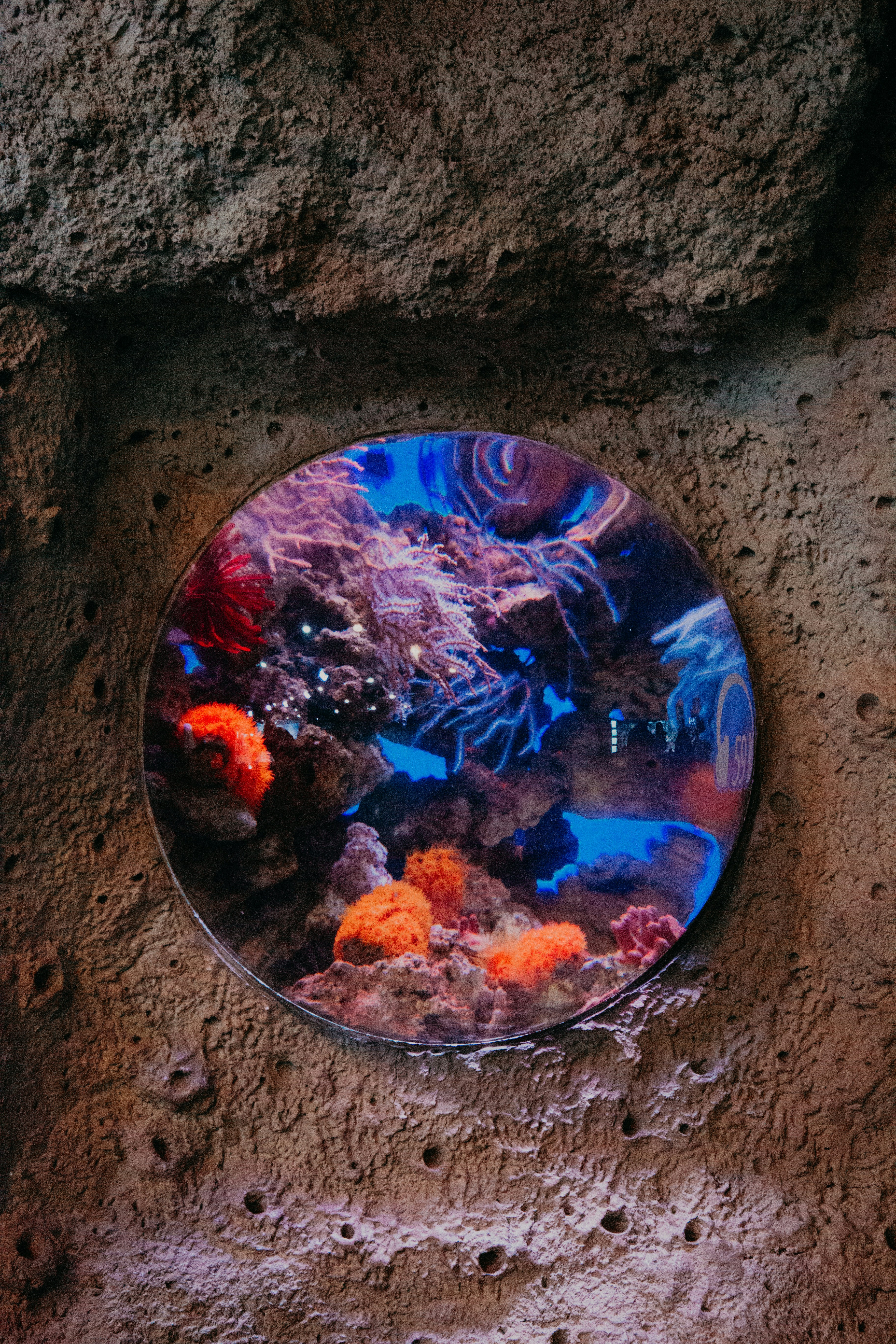 Circular Aquarium Viewing Window