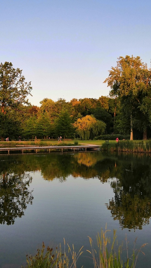 Park Lake at Sunset