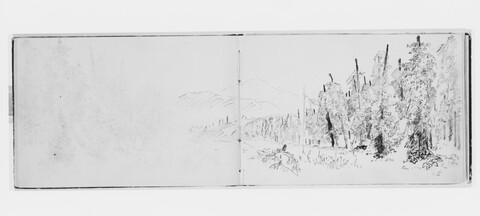 Pencil Sketch of Forest Mountain Landscape
