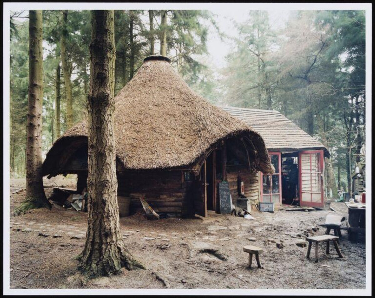 Thatched Log Cabin In Forest