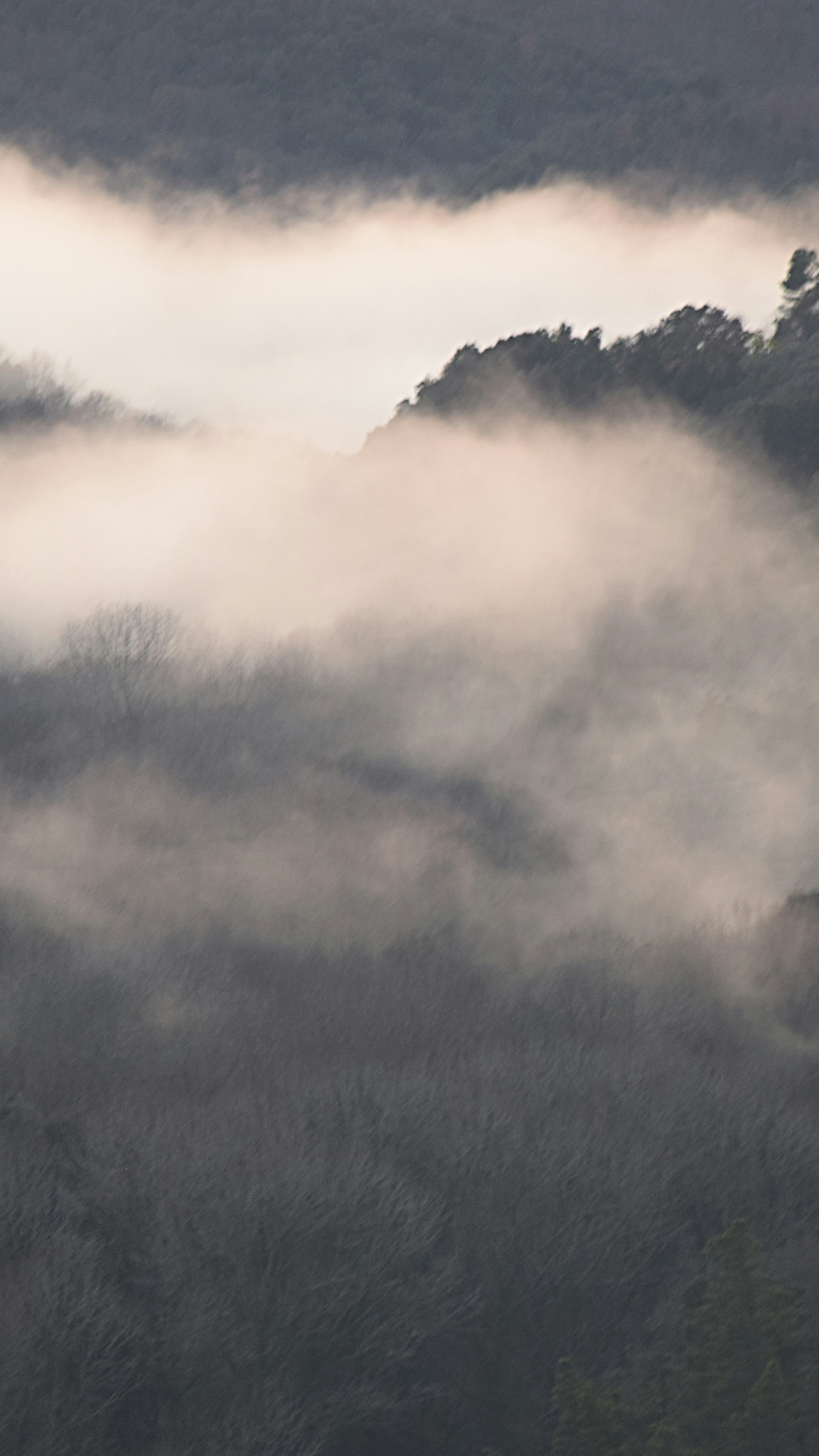 Landscapes