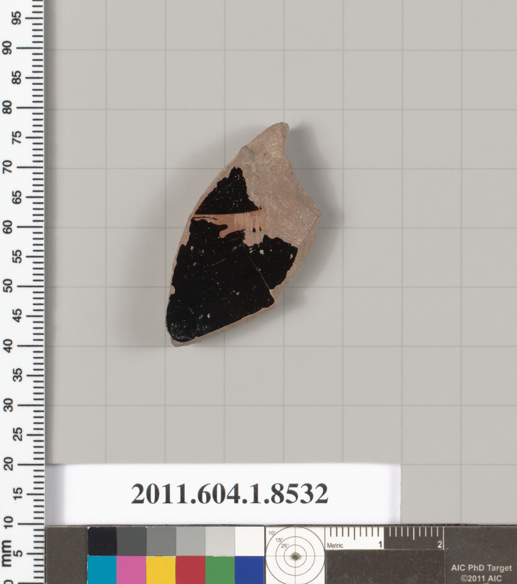 Ancient Pottery Shard Specimen