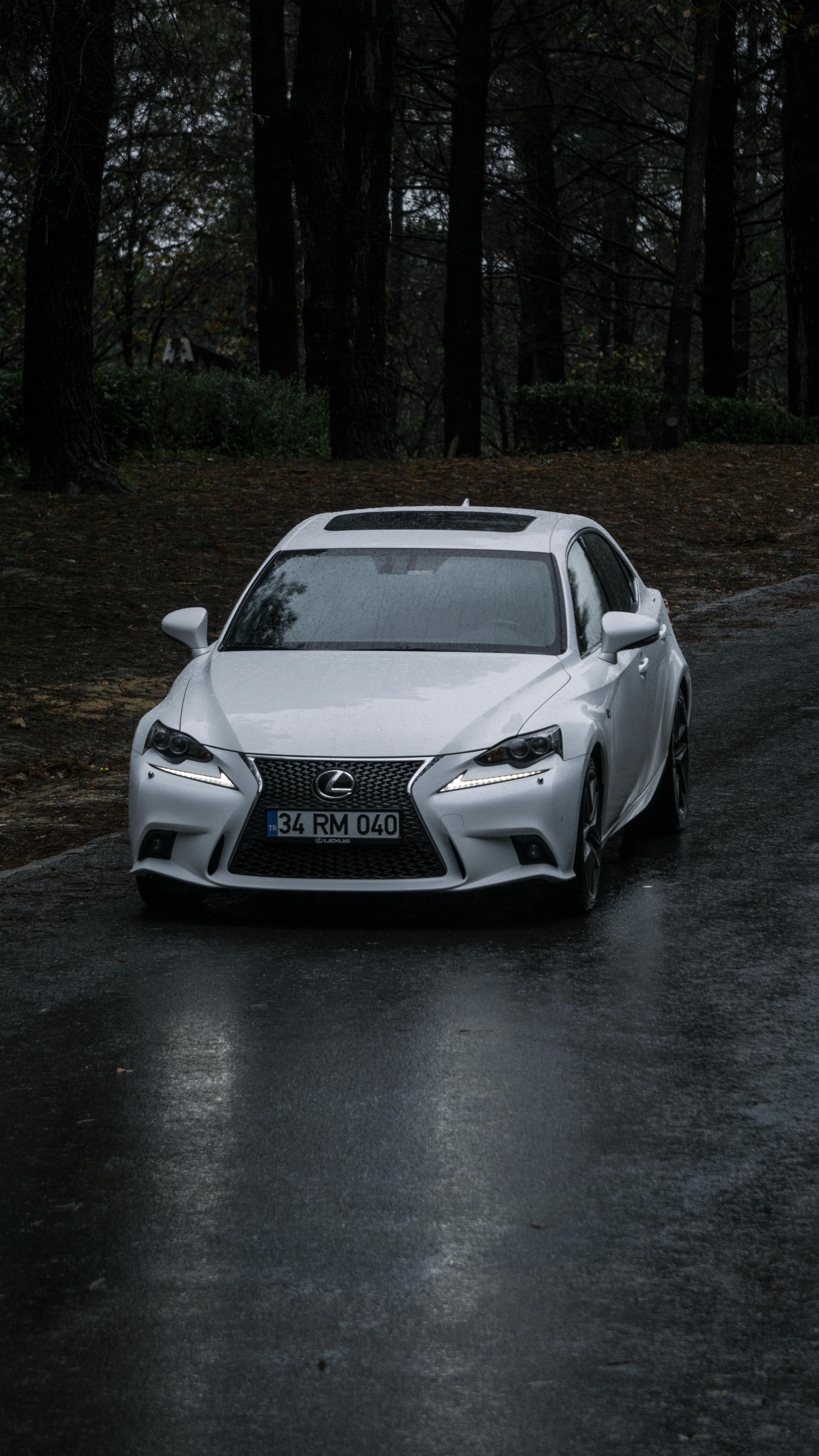White Lexus on Wet Forest Road