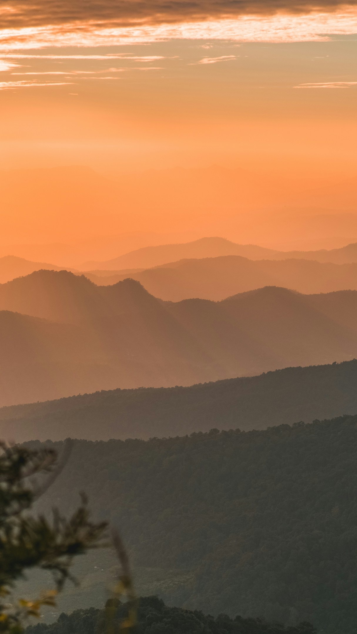 Landscapes