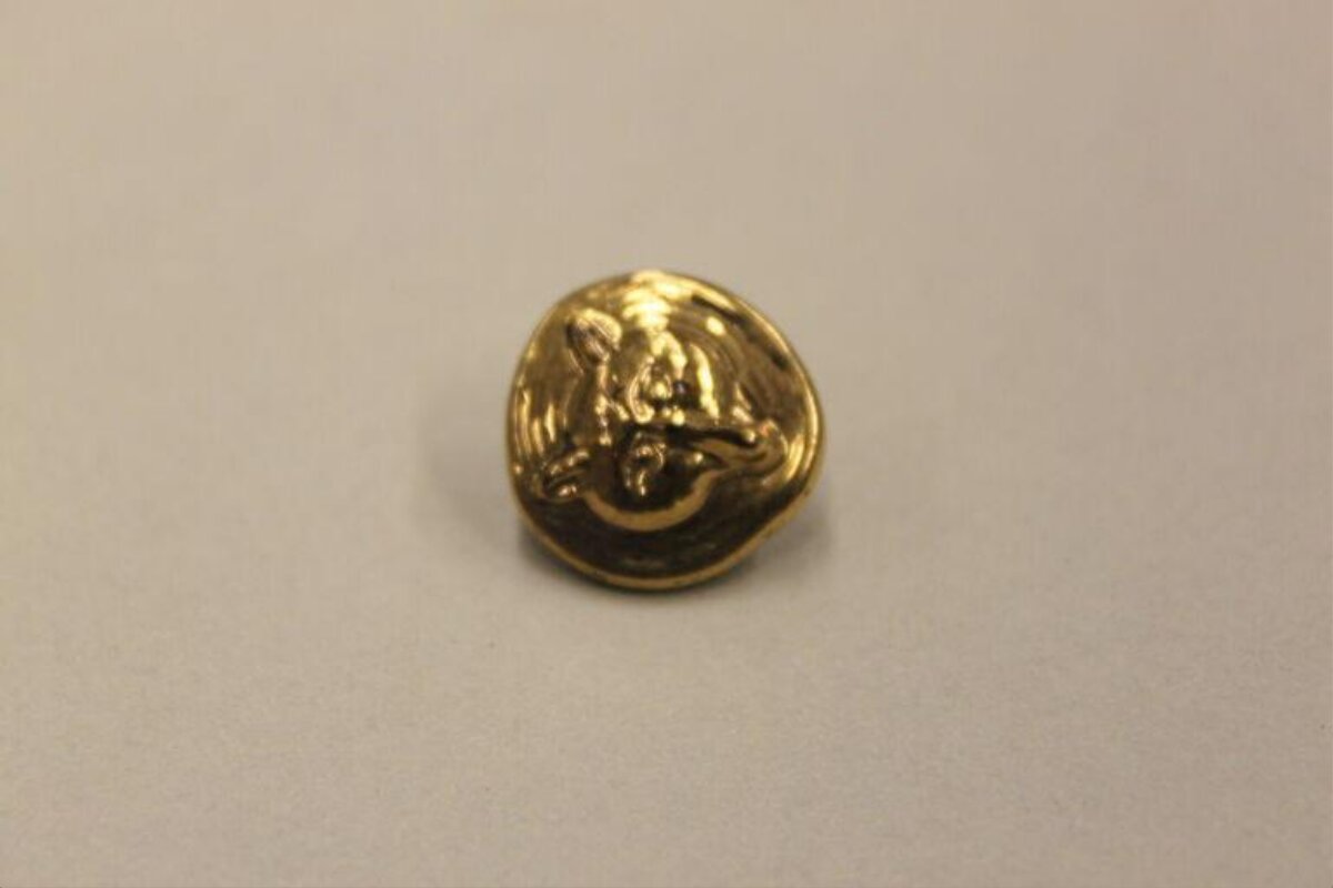 Golden Embossed Animal Head Button