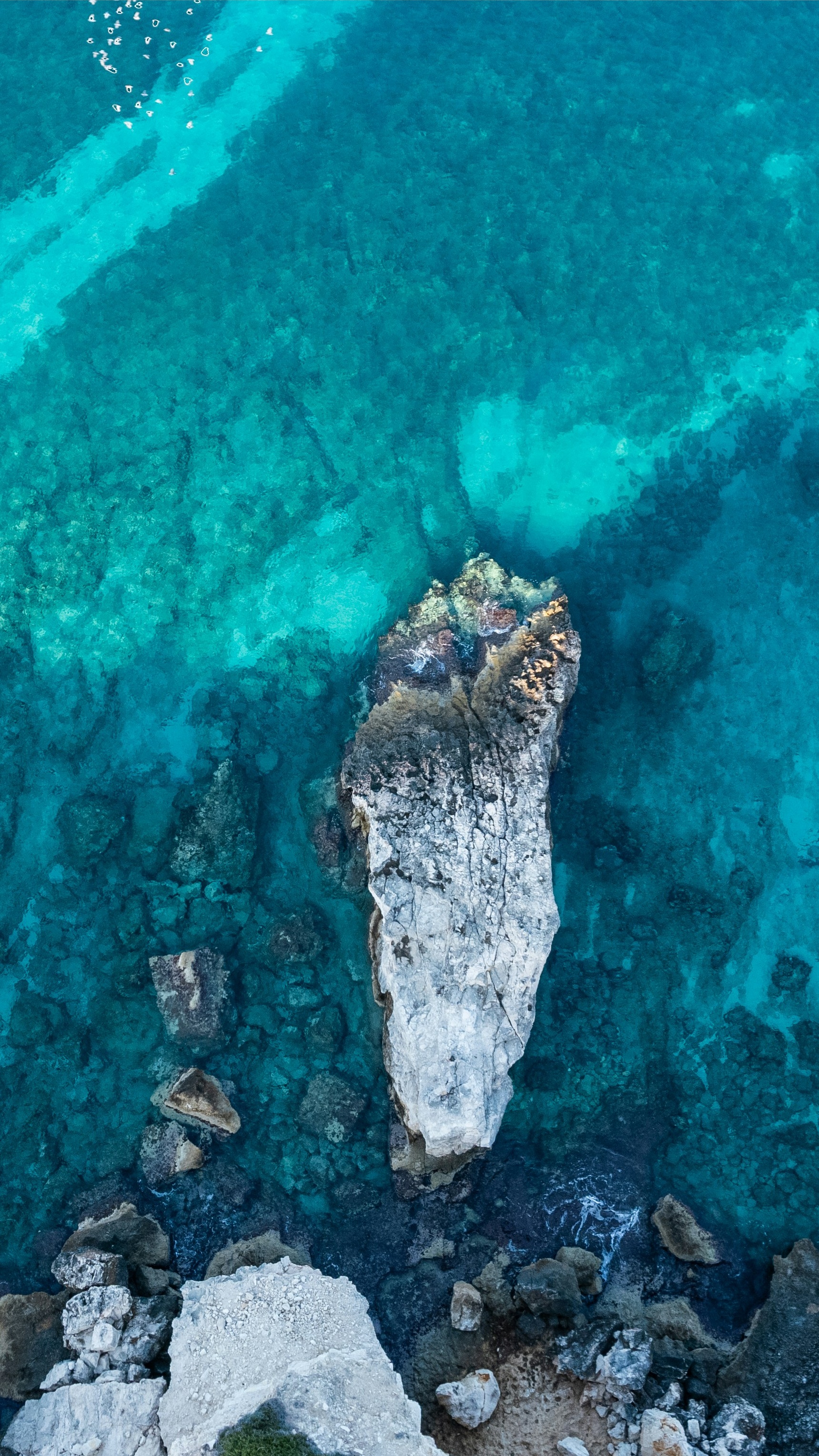 Wallpapers