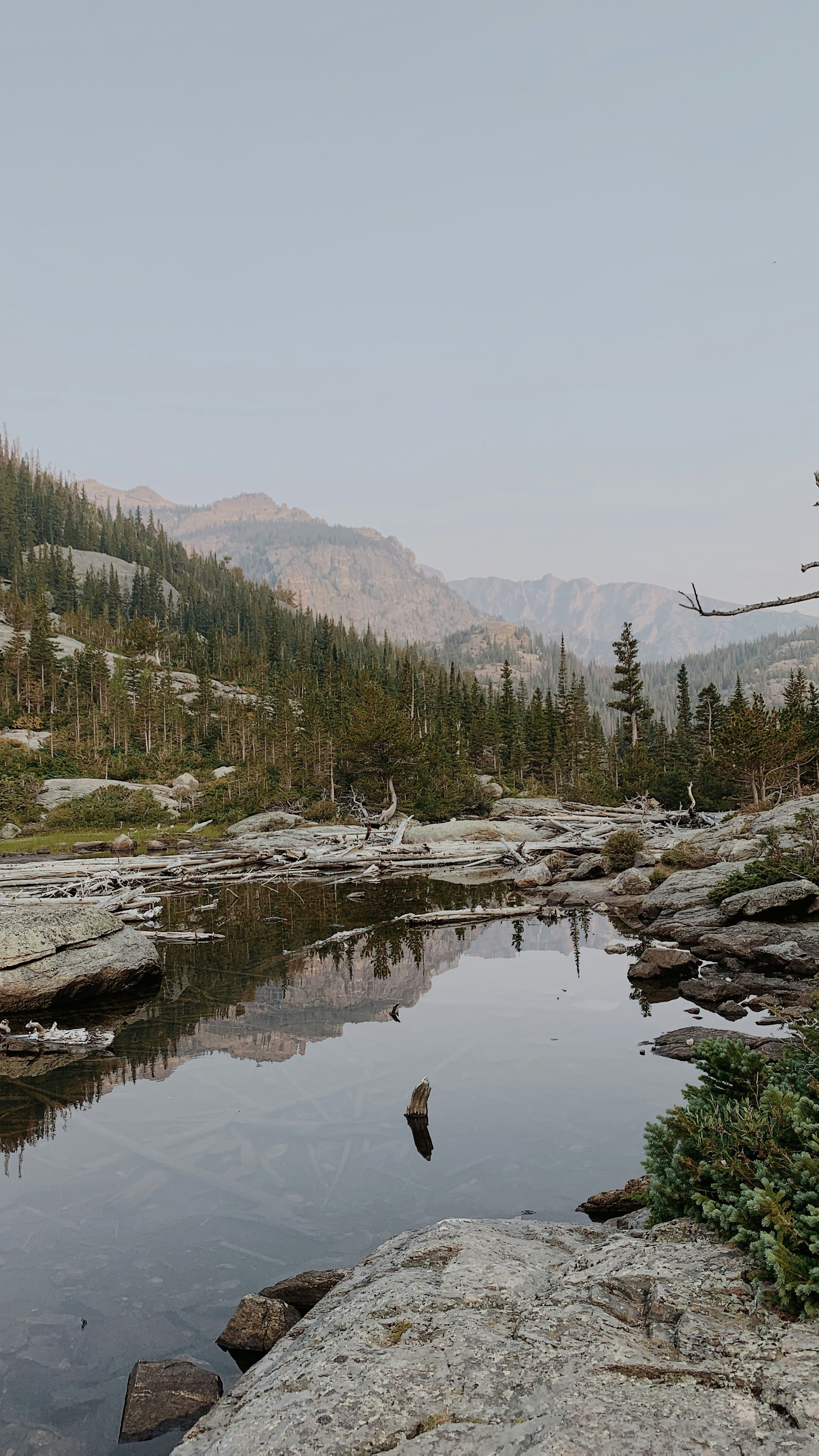 Landscapes