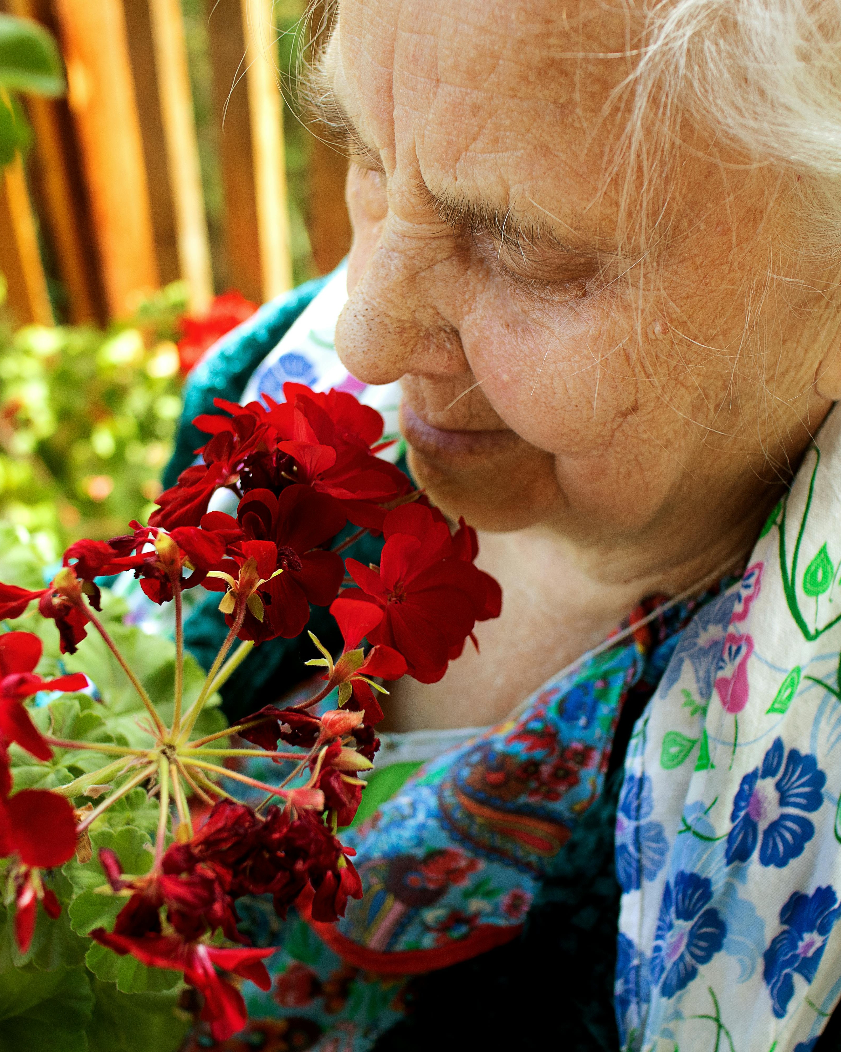 Elderly Woman Smelling Red Geraniums