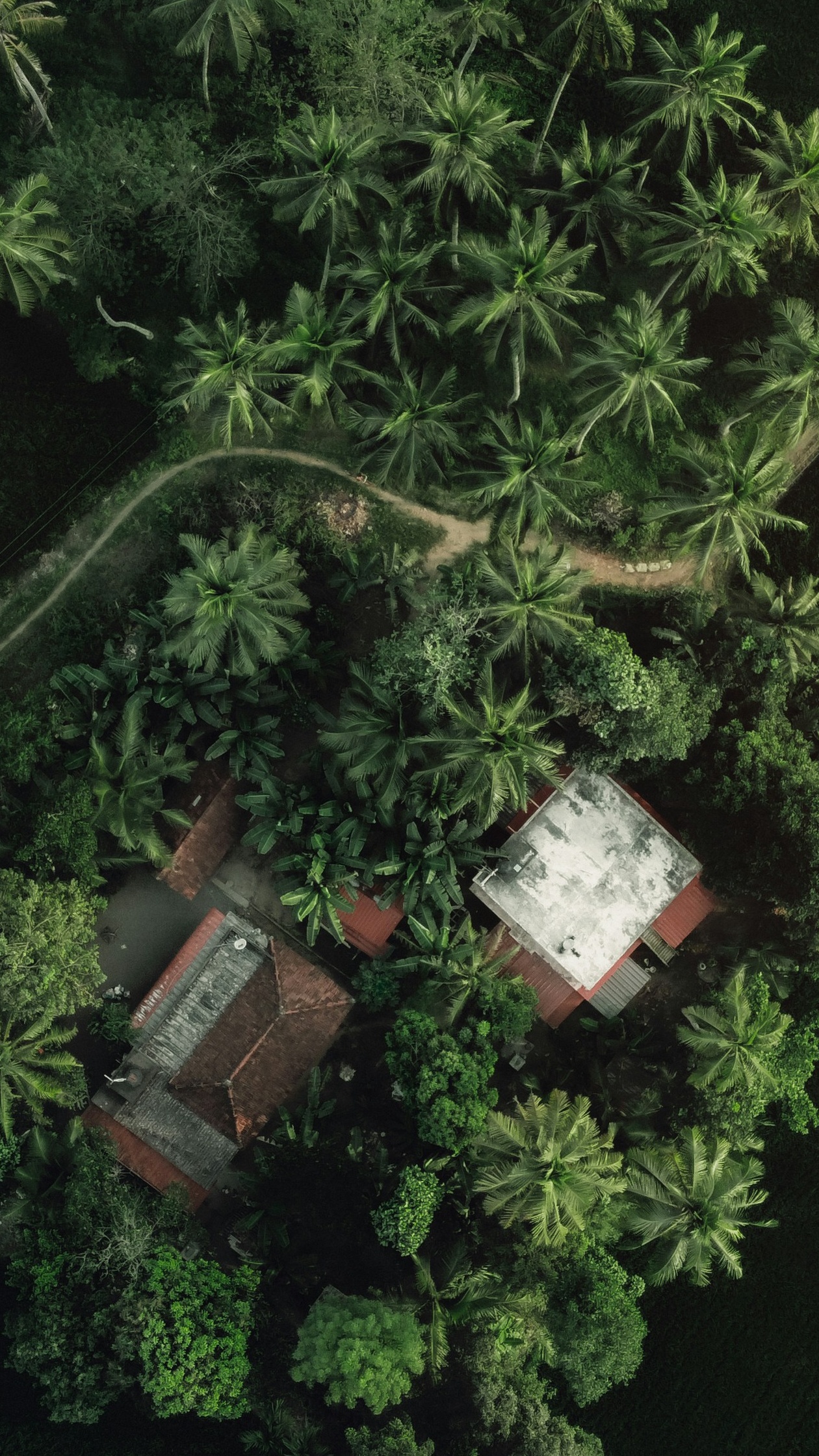 Wallpapers