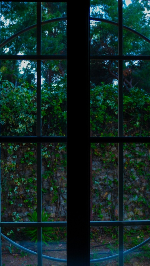 Garden View Through Window Grille