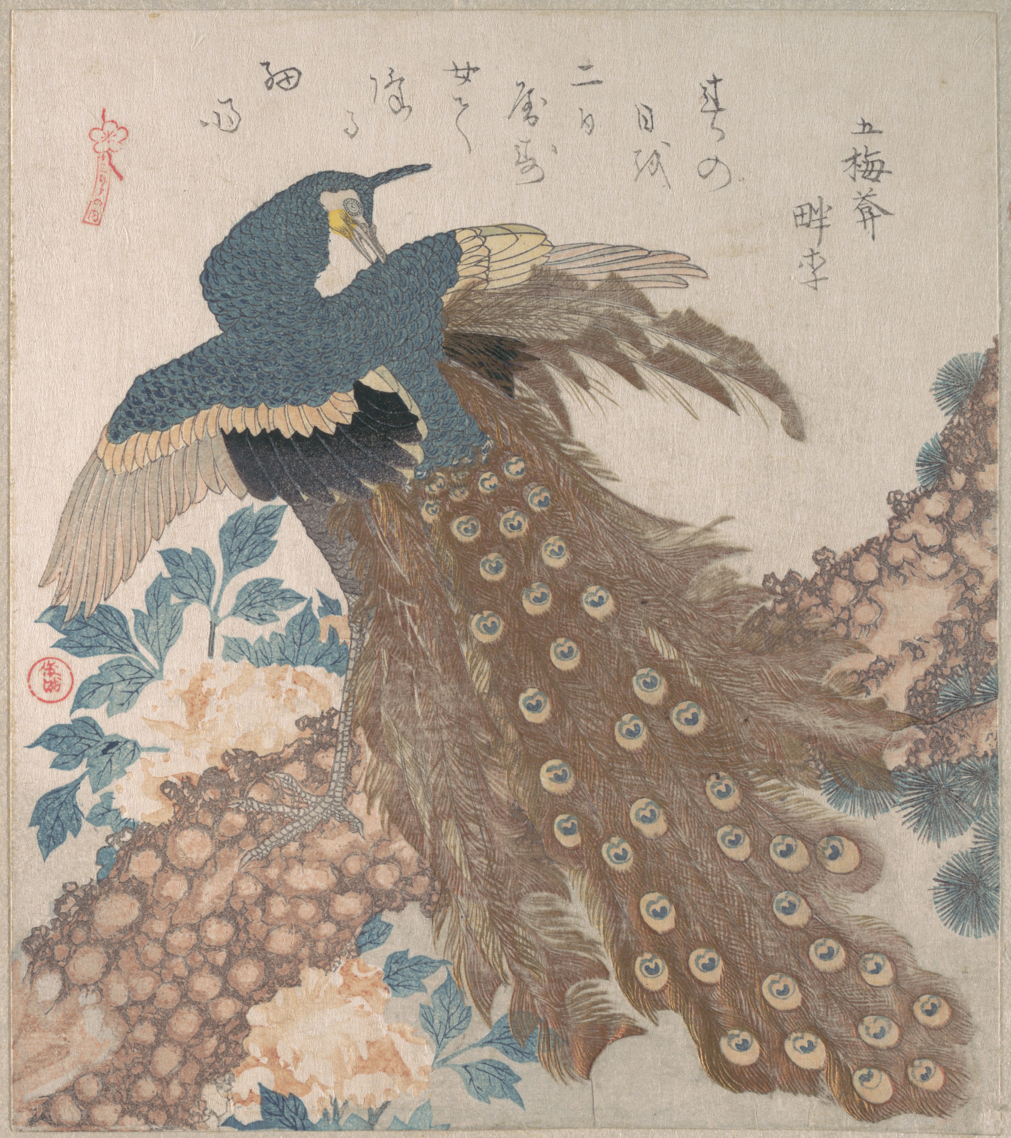 Japanese Woodblock Print of Peacock