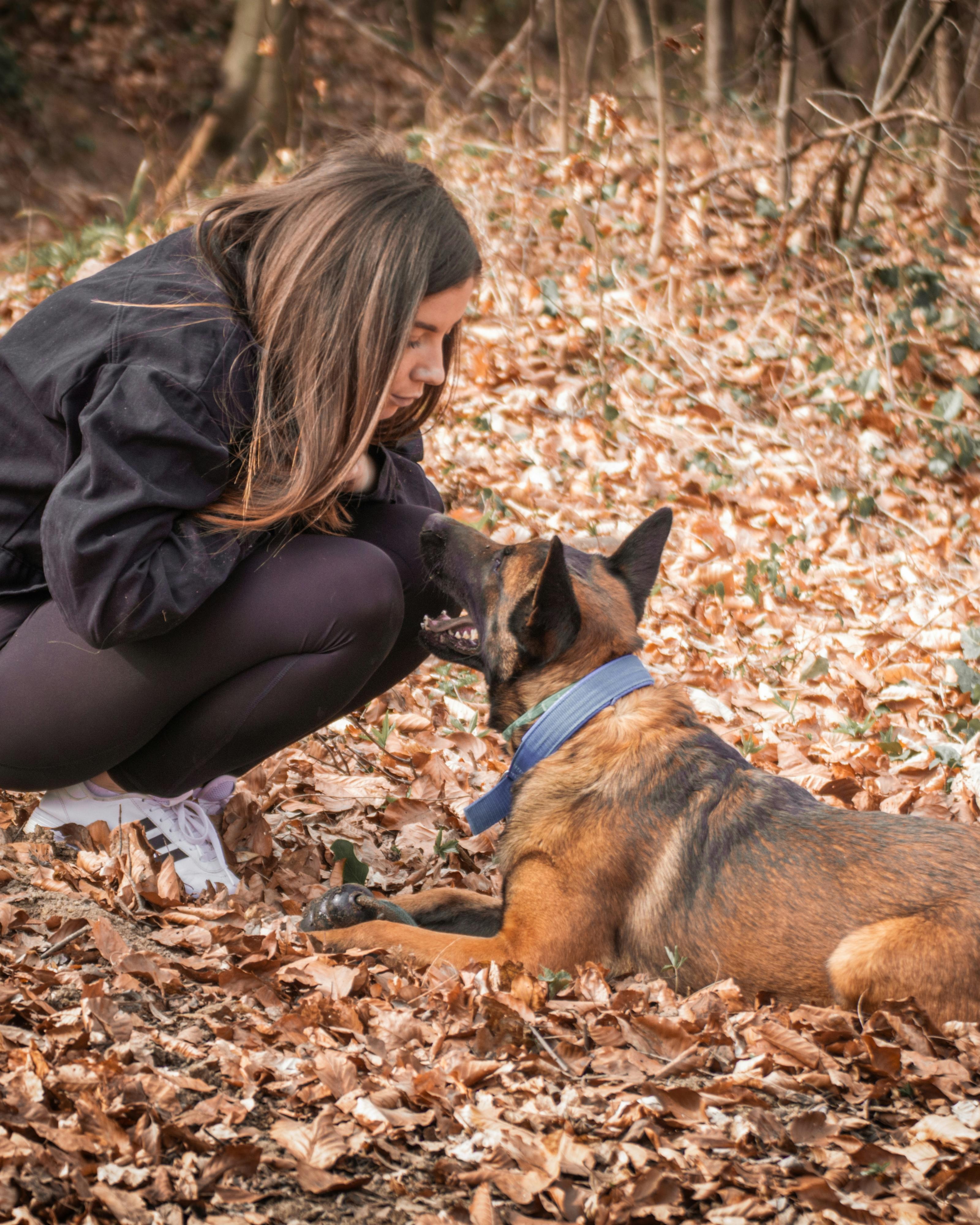 Woman and Dog in Autumn Forest