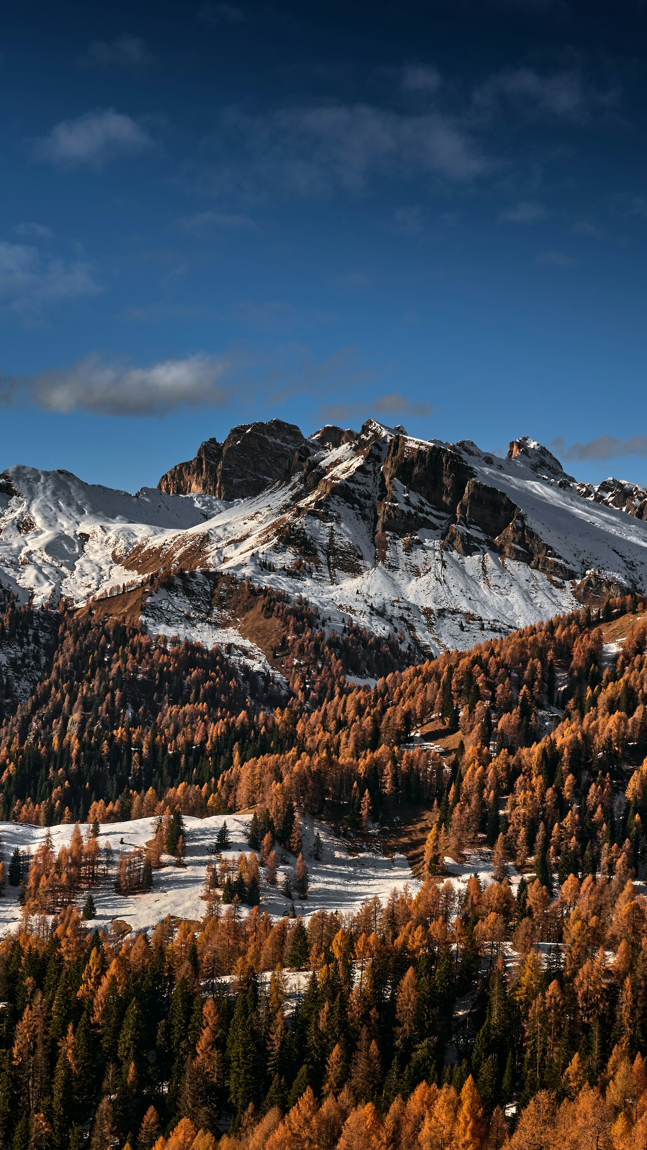 Autumn Snowy Mountain Forest
