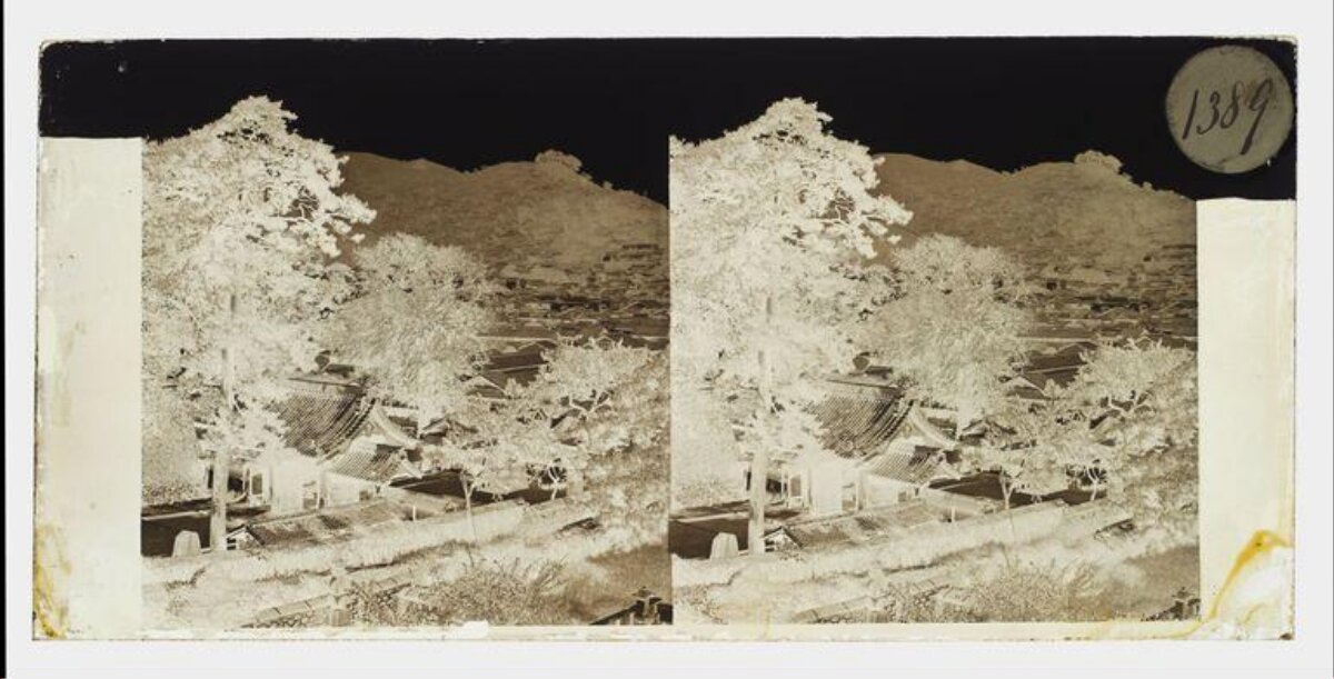Stereoscopic Negative of Mountain Village