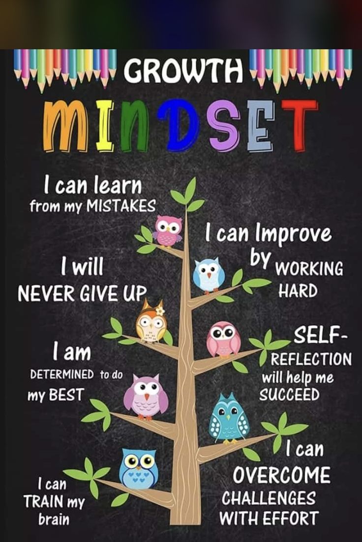 Growth Mindset Classroom Poster