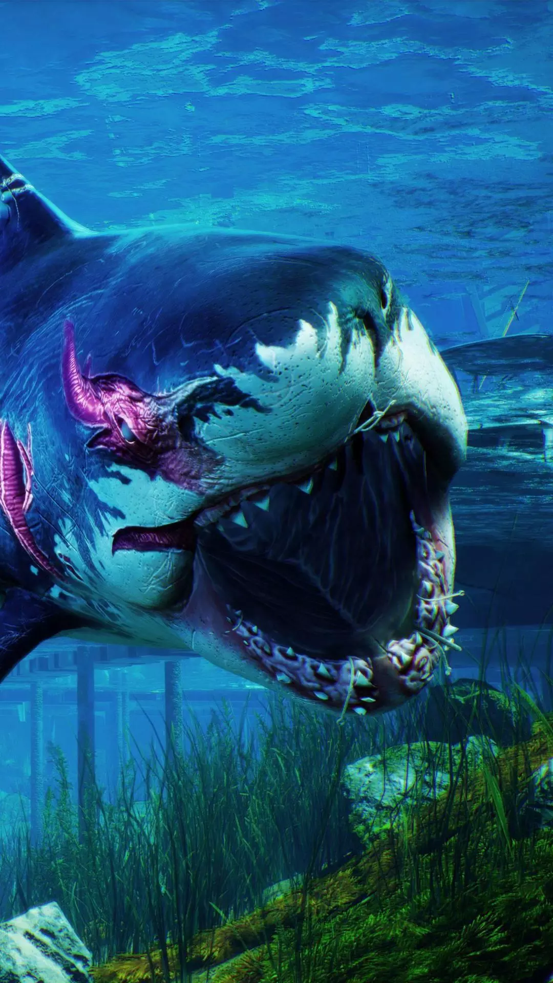 Wallpapers