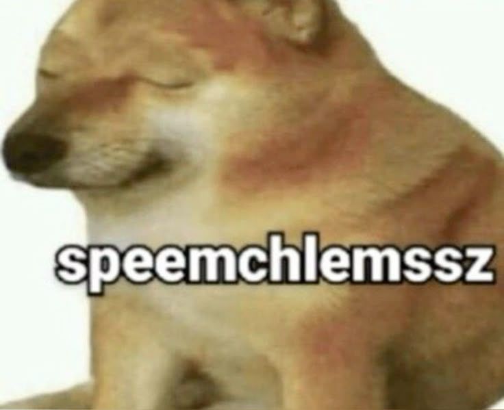 Speemchlemssz Cheems Meme
