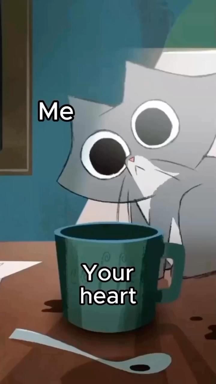 Cat staring into empty mug meme