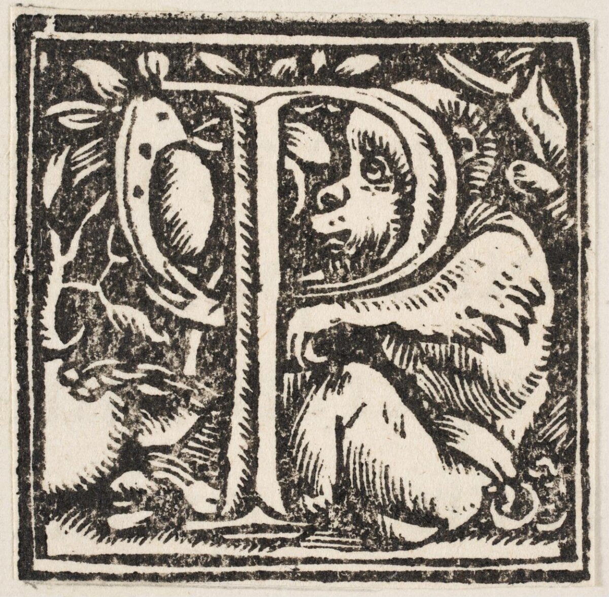 Woodcut Initial Letter P with Monkey