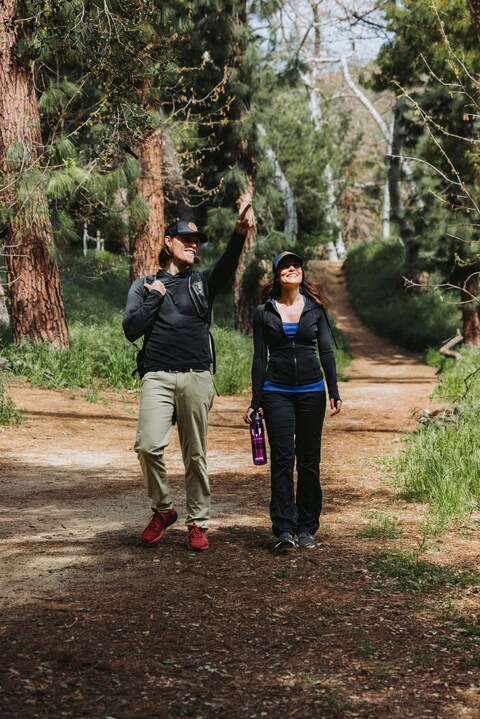 Two Hikers on a Forest Trail