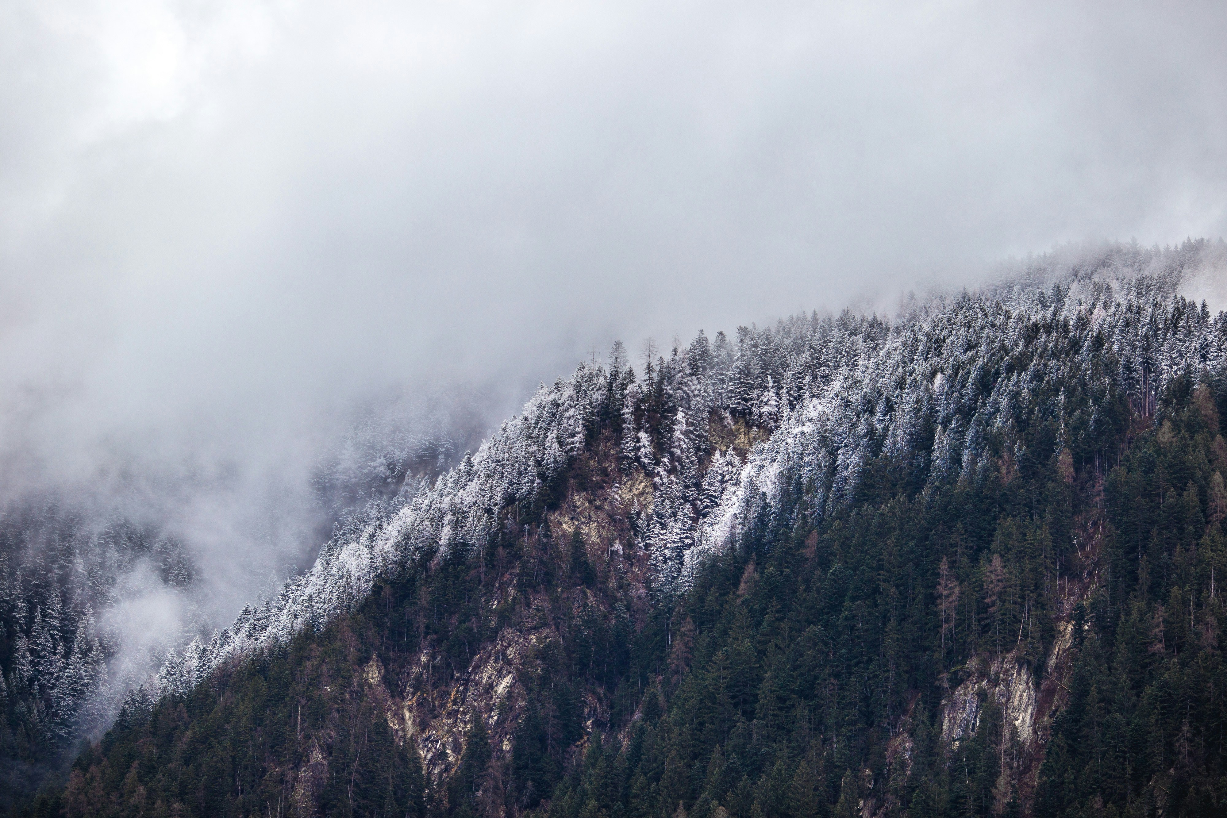 Foggy Snow-Covered Mountain Forest