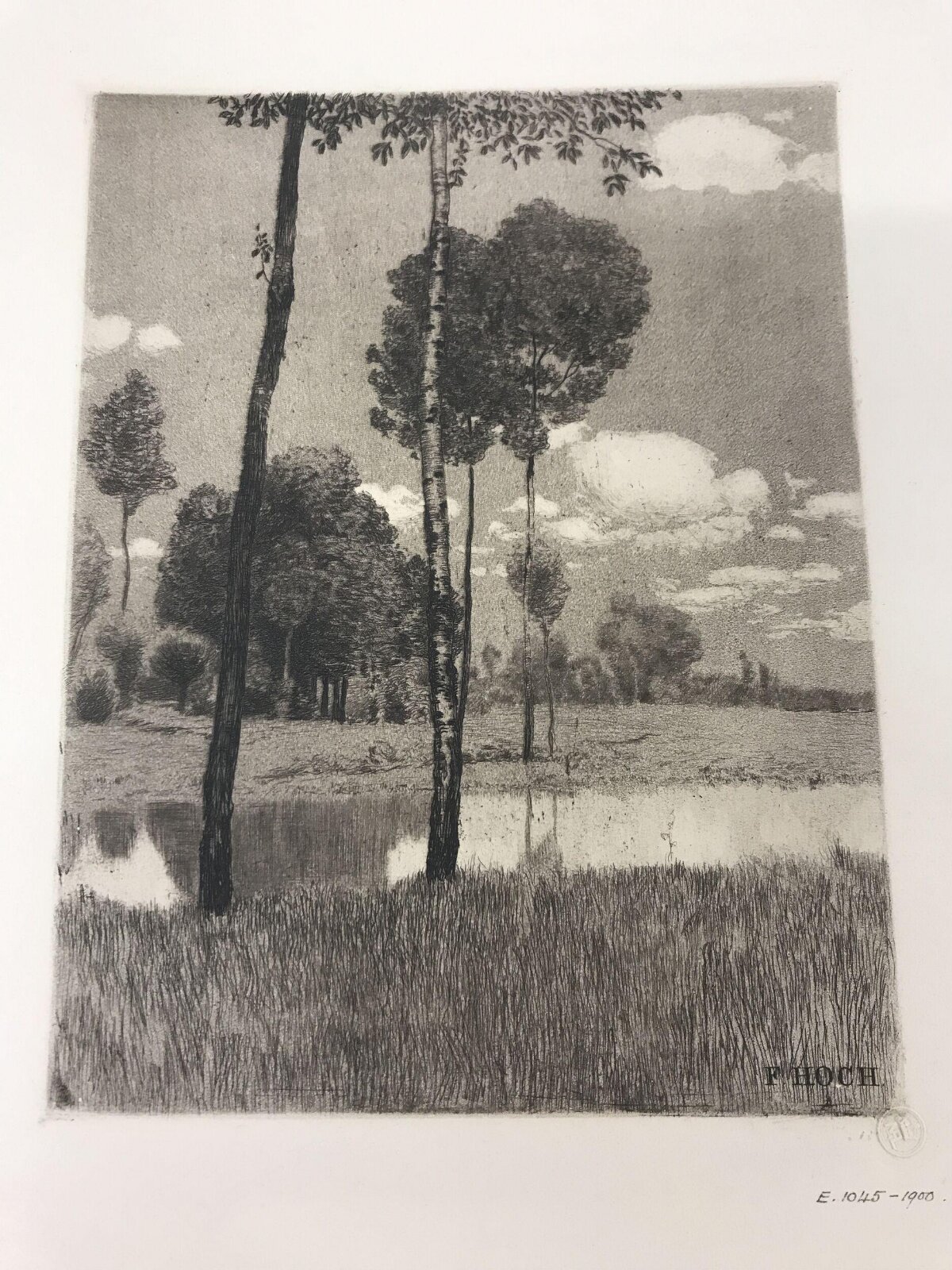 Riverbank Tree Landscape Etching