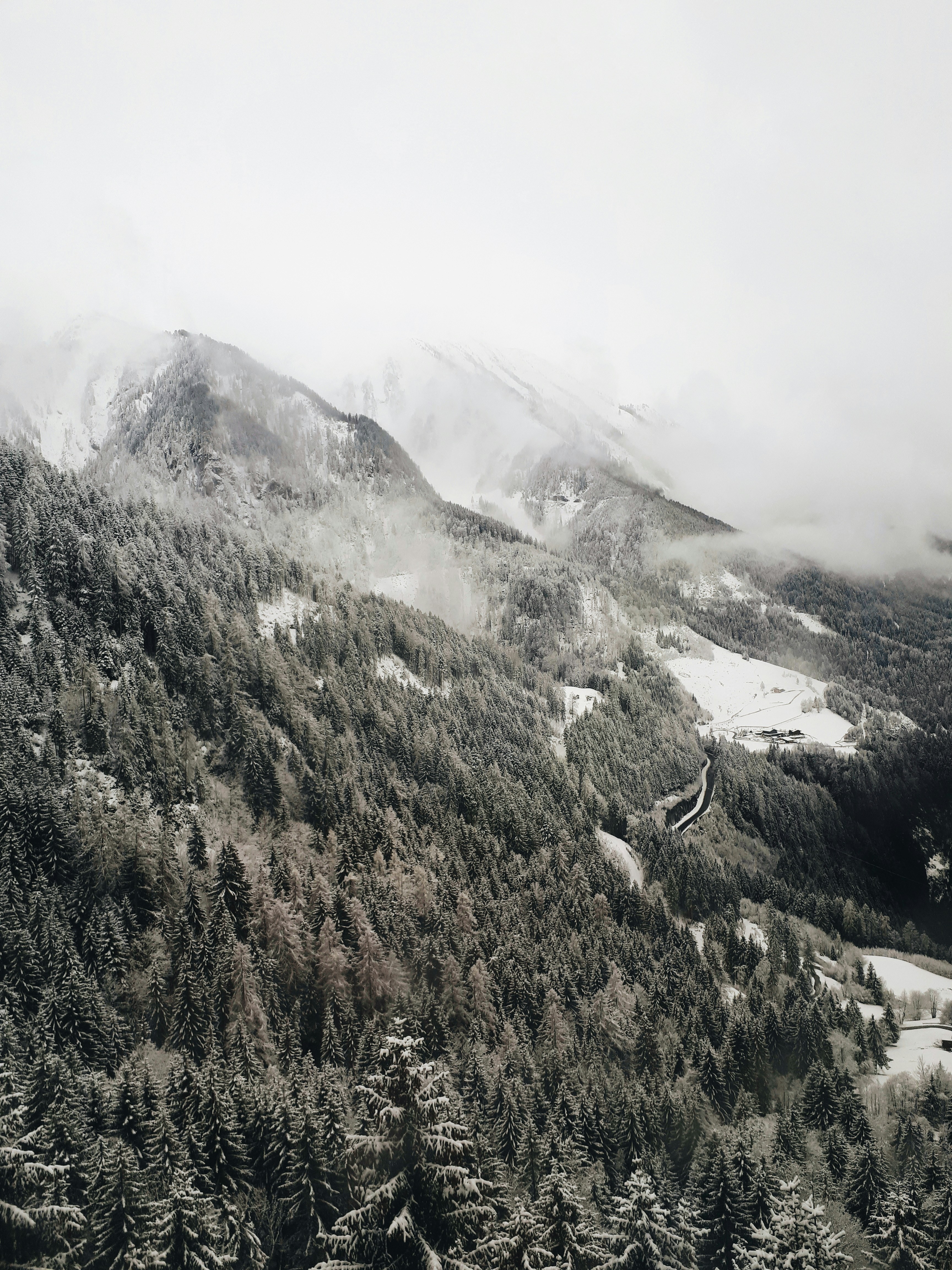 Snowy Mountain Forest Valley