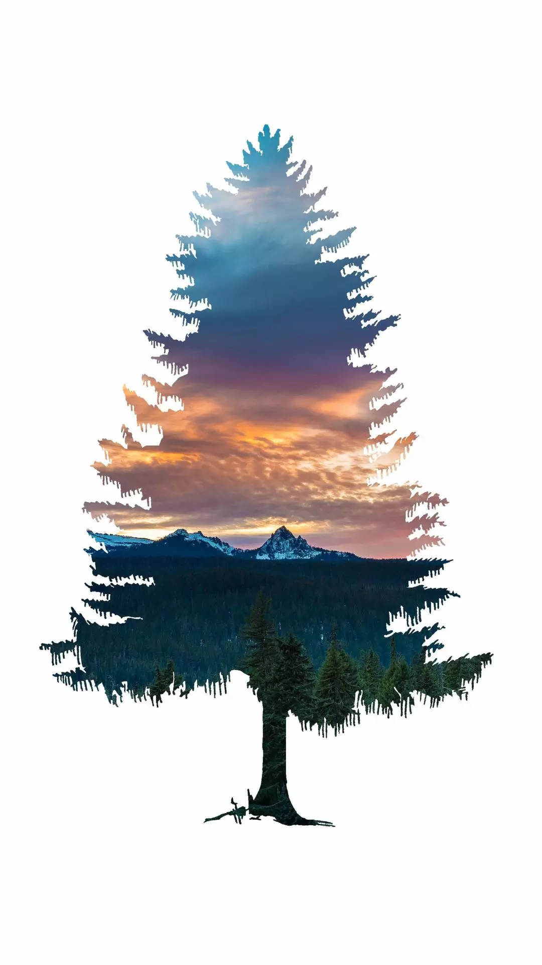 Landscapes