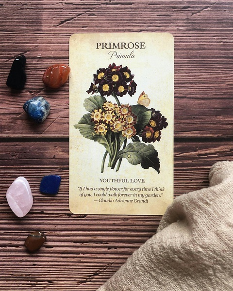 Primrose Card and Healing Crystals