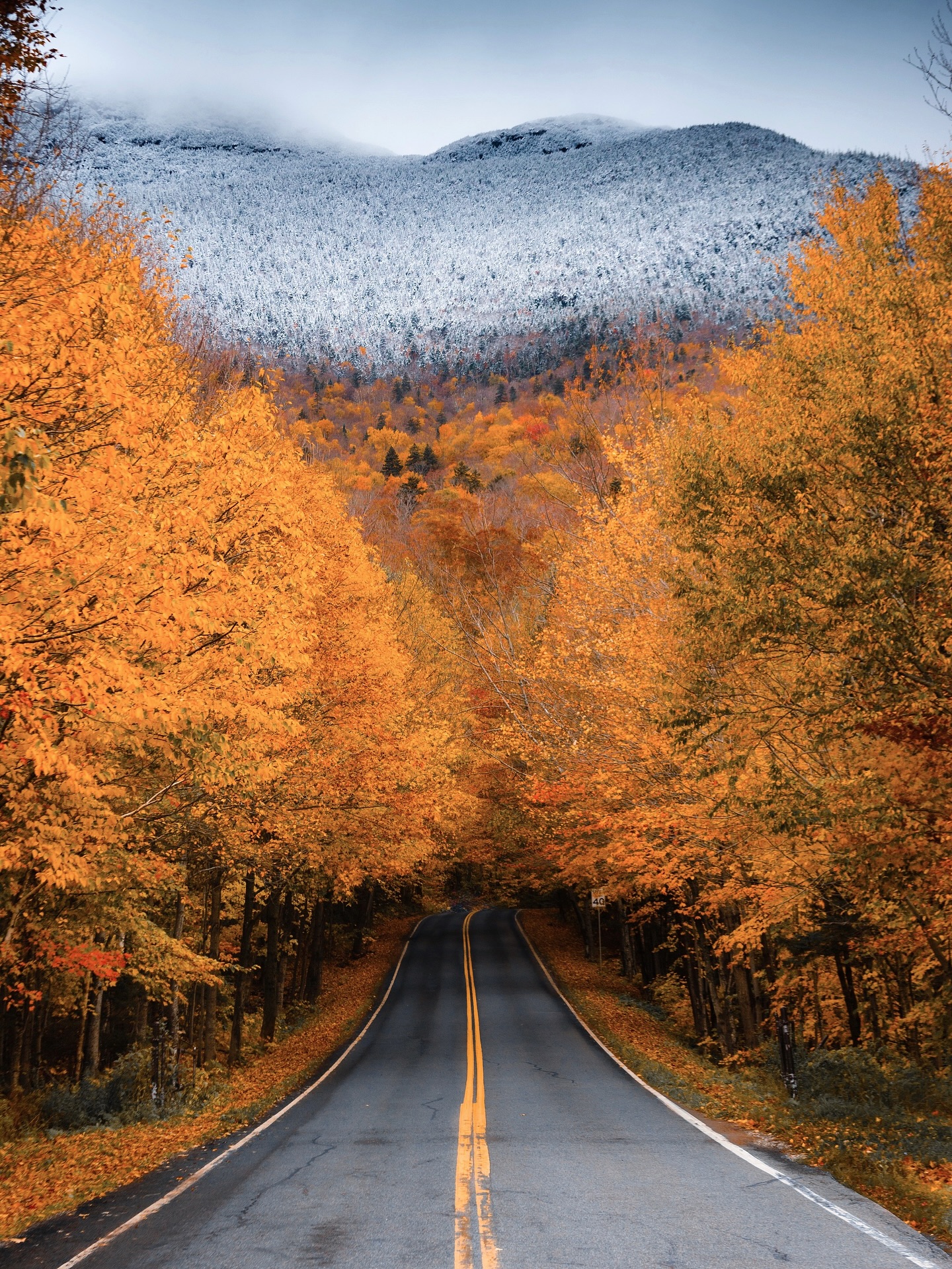 Autumn Road To Snowy Mountains