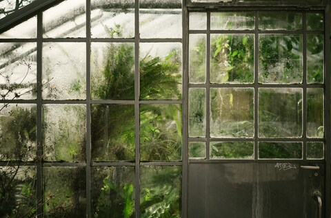Old Greenhouse Glass With Green Plants Inside