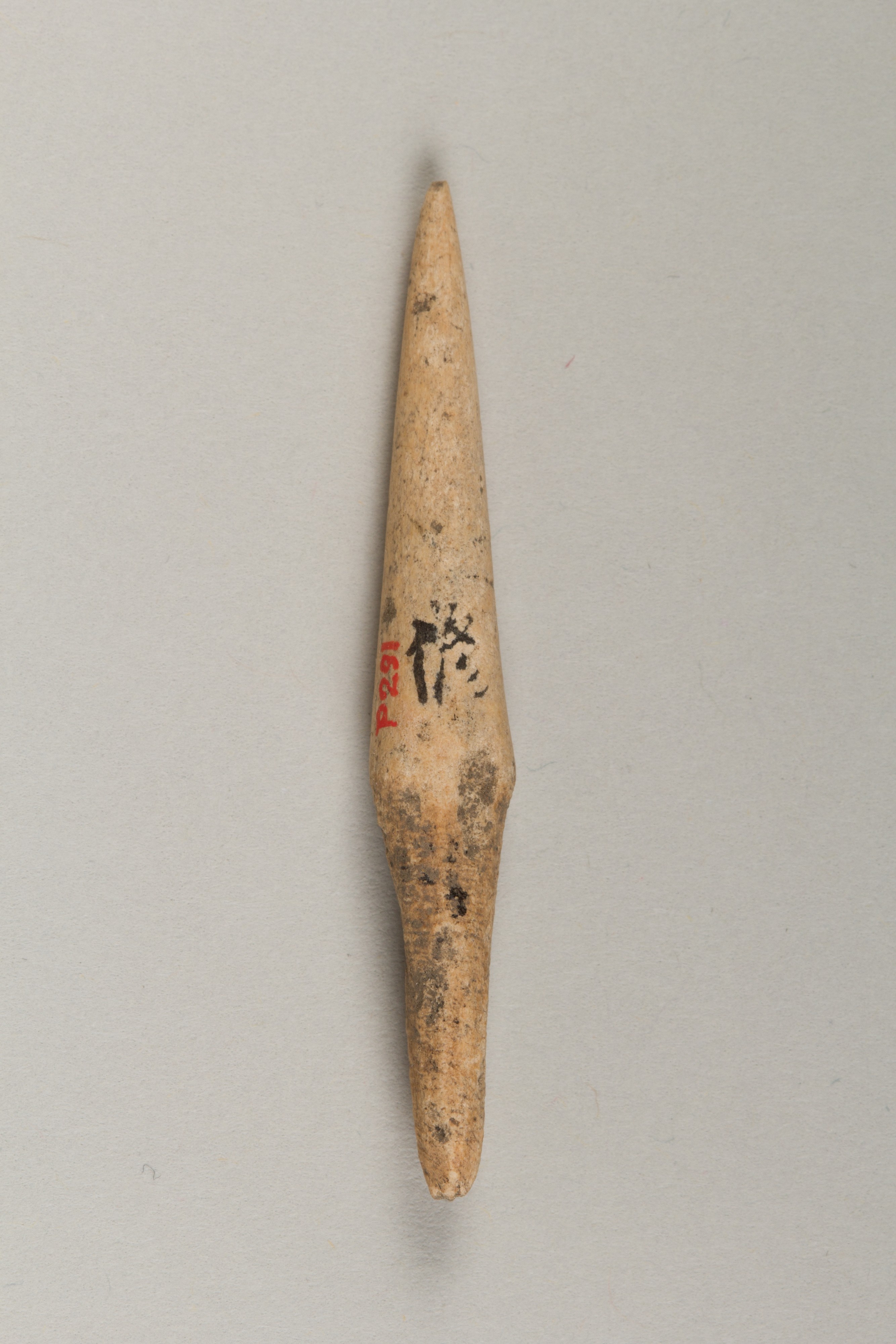 Ancient Bone Arrowhead Artifact
