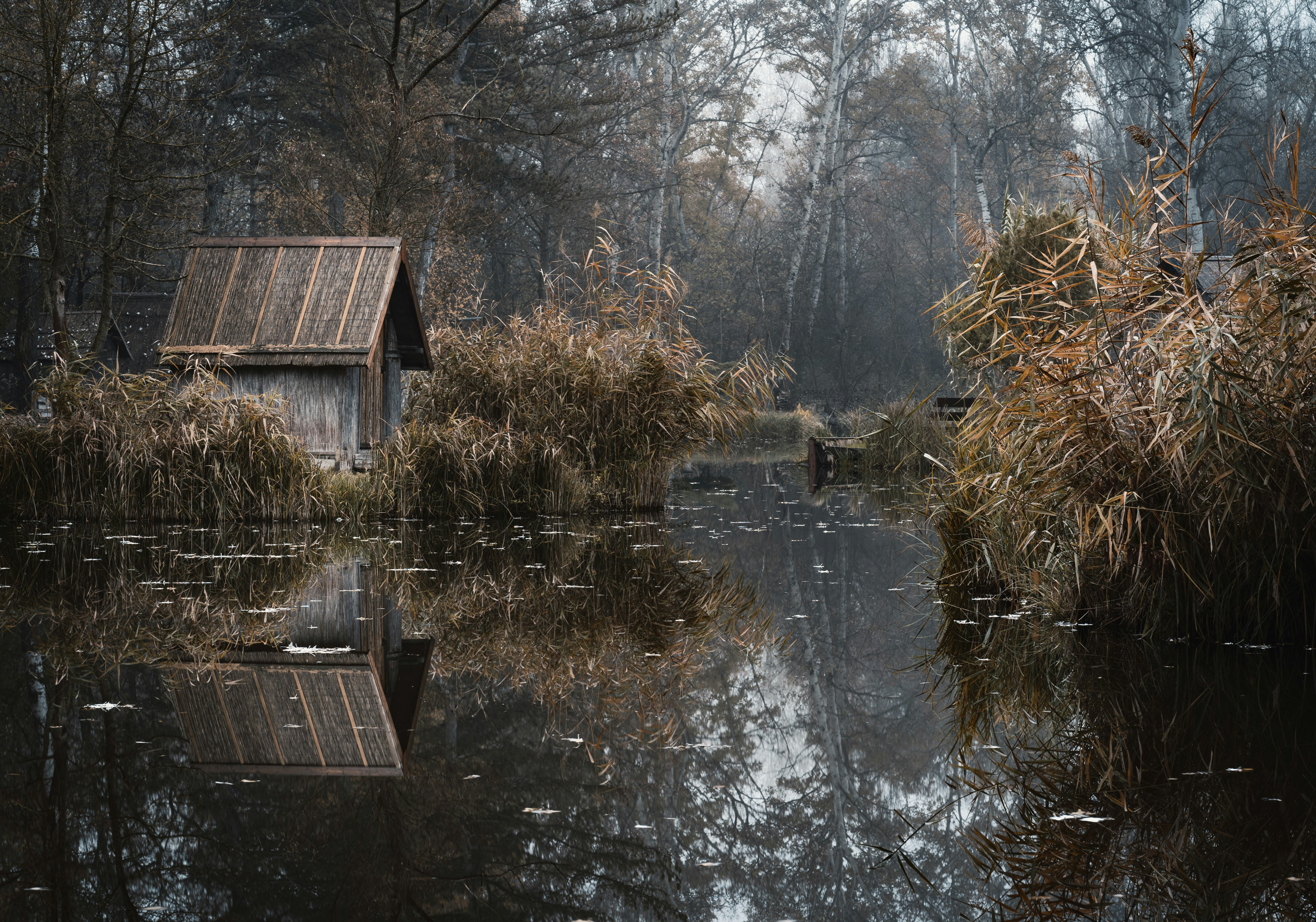Wooden Cabin by Misty Wetland Waterway