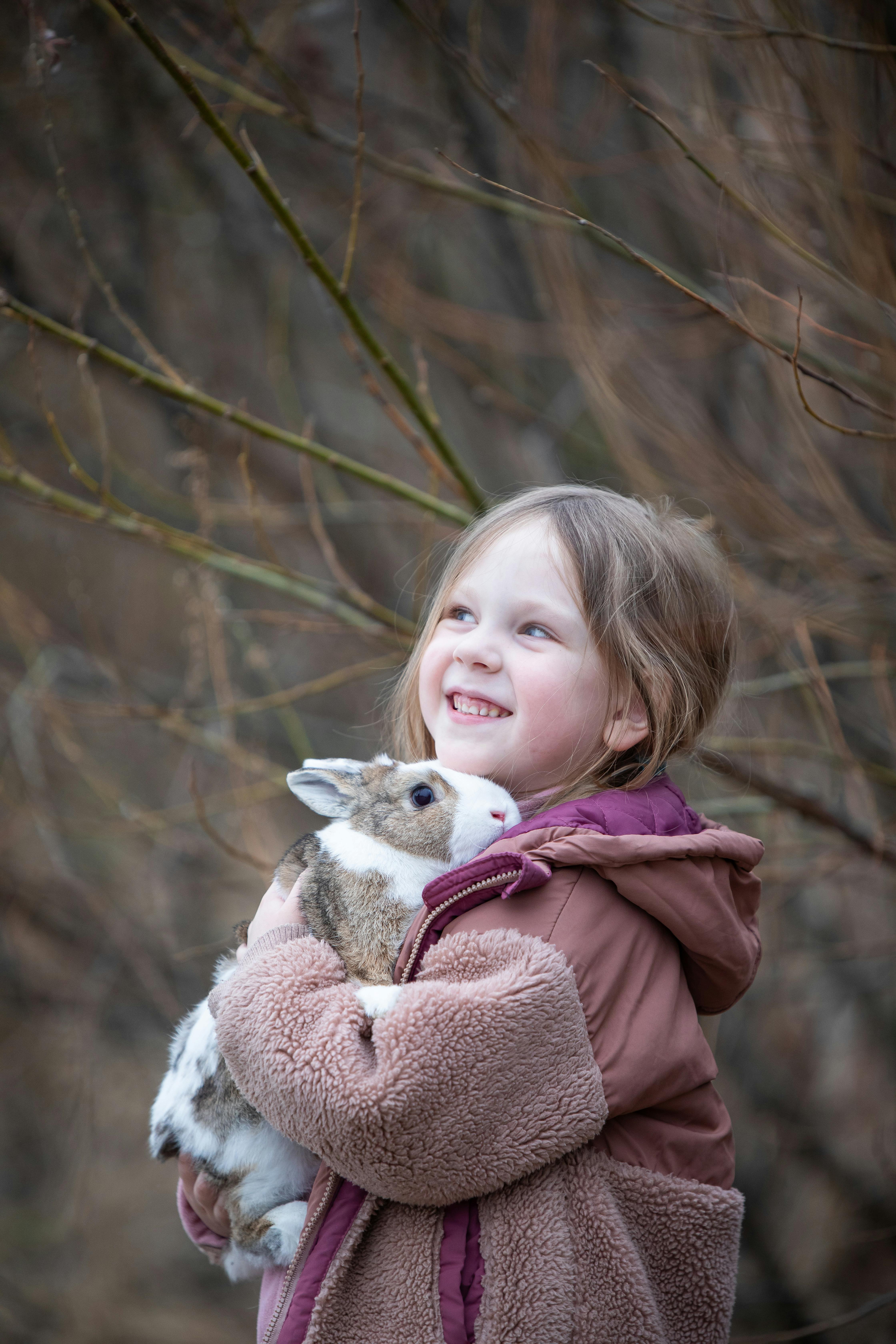 Image 1510699 — Pets