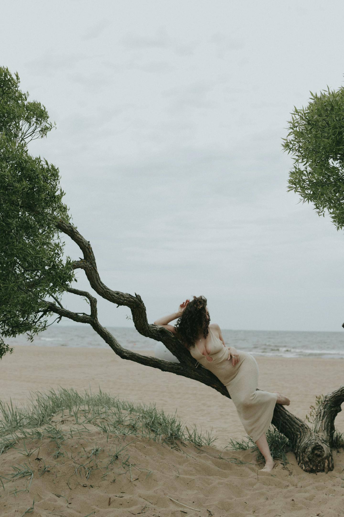 Image 89014 — Beauty