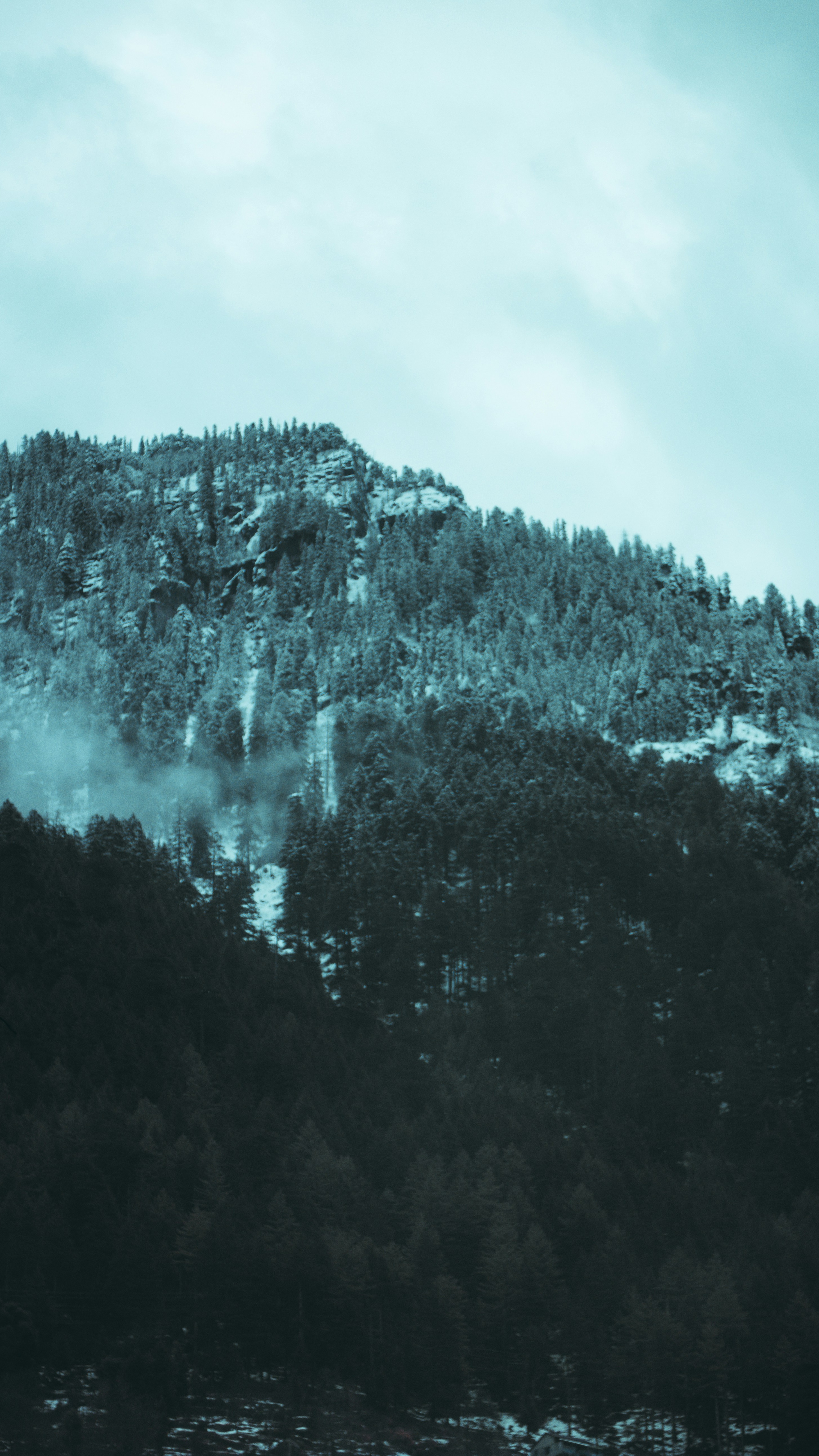 Wallpapers