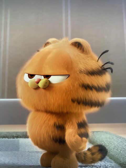 Grumpy Baby Garfield