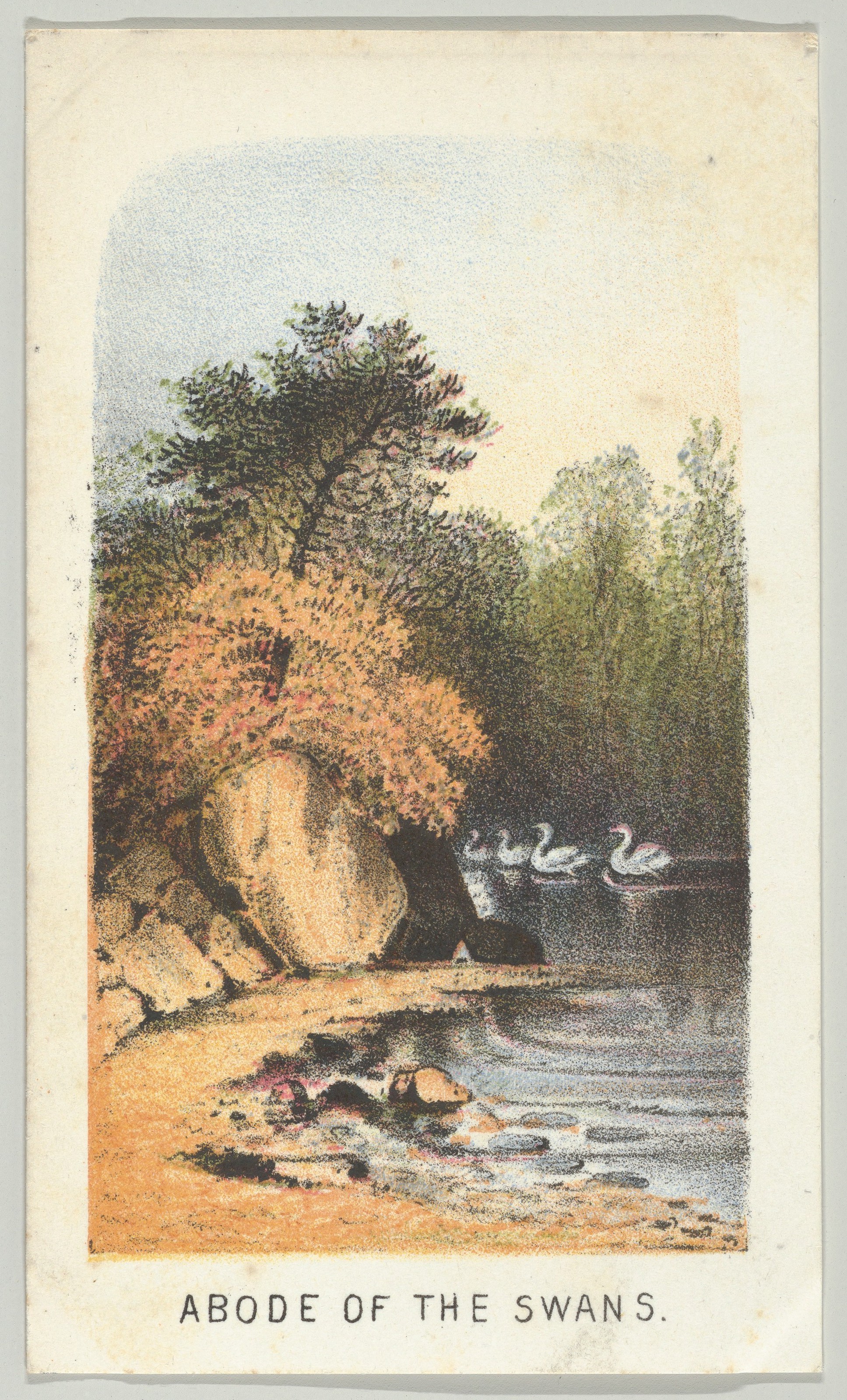 Abode of the Swans