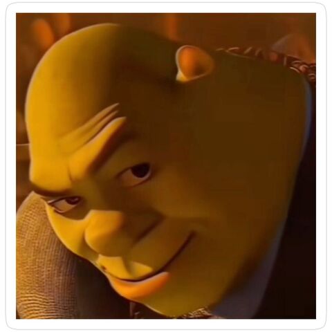 Bald Shrek Meme