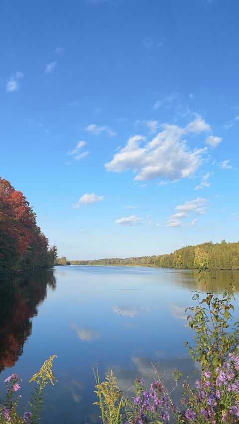 Image 1558023 — Nature