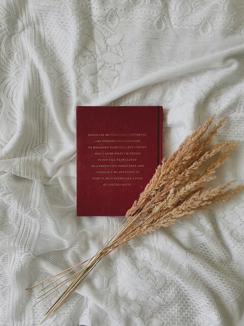 Red Book and Dried Pampas Grass