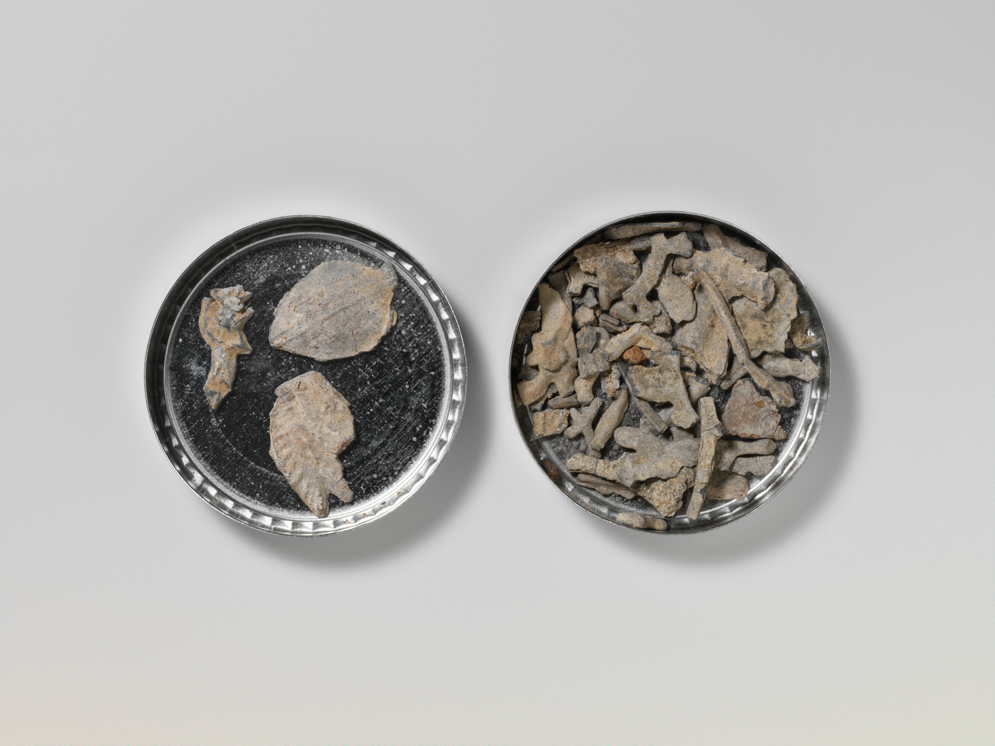 Fossil bone fragments in metal tins