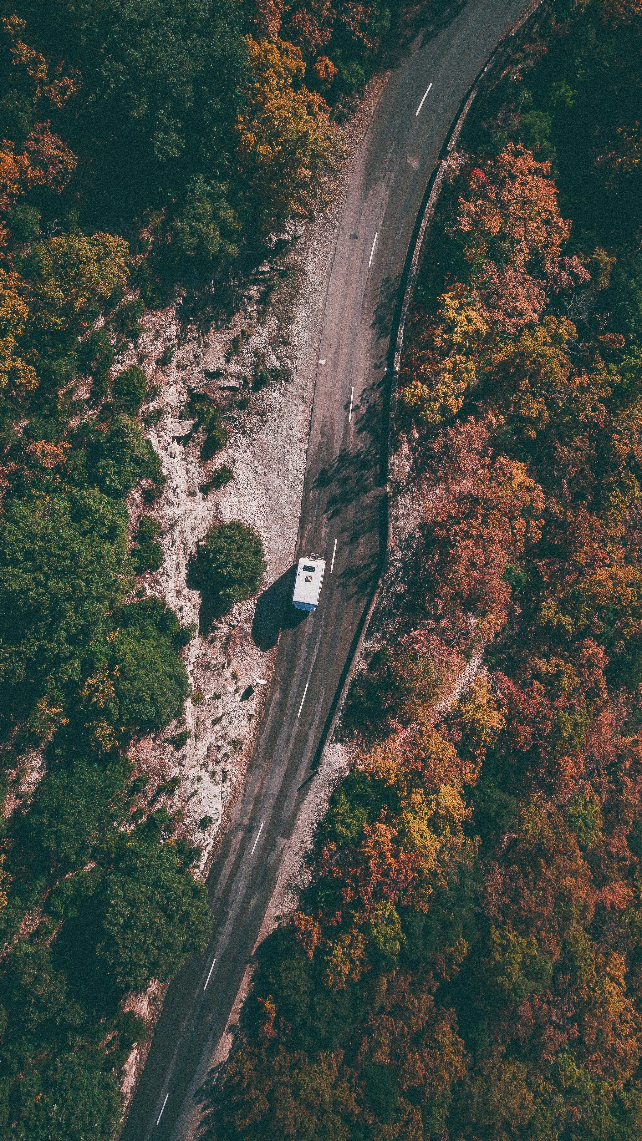 Wallpapers