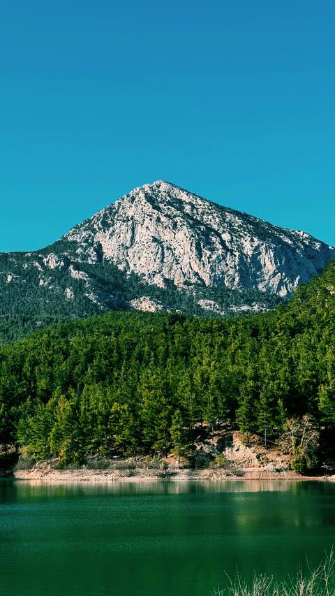 Rocky Mountain Above Forest Lake