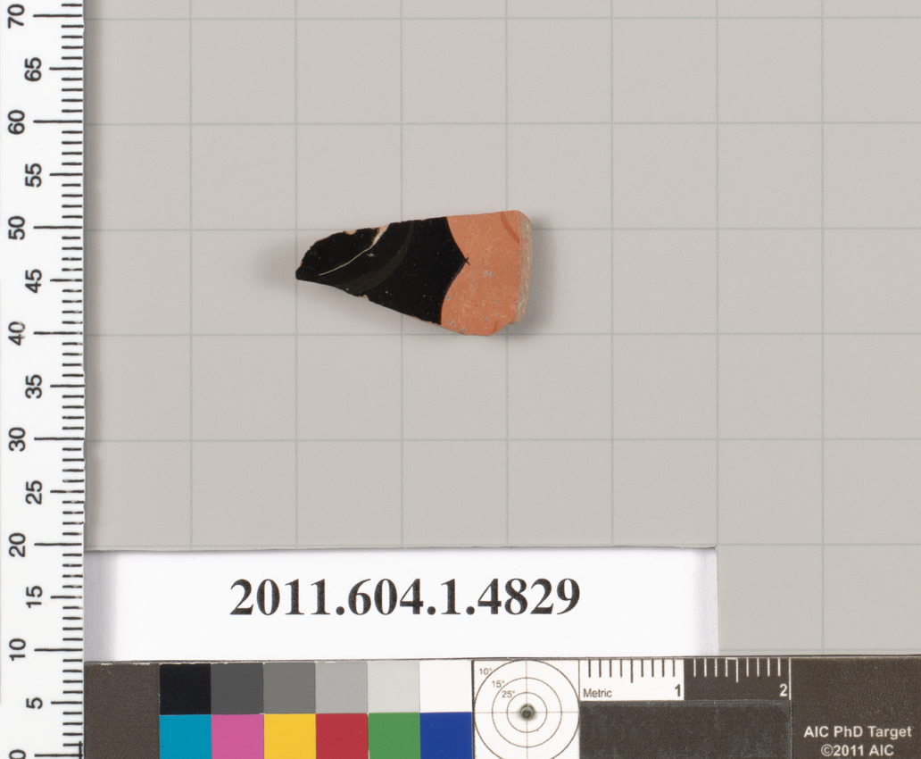 Ancient Pottery Fragment Specimen