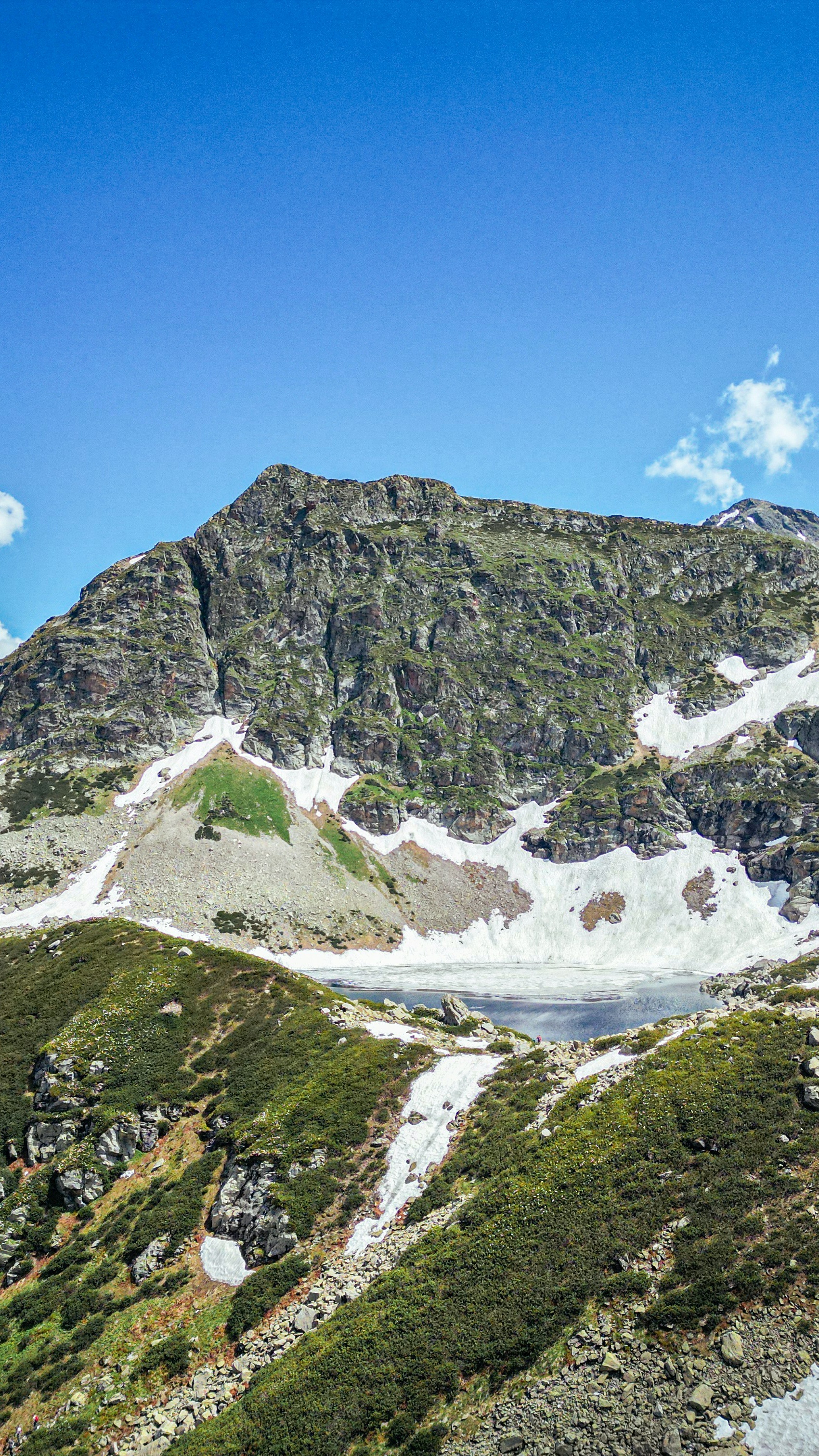 Image 1577631 — Nature