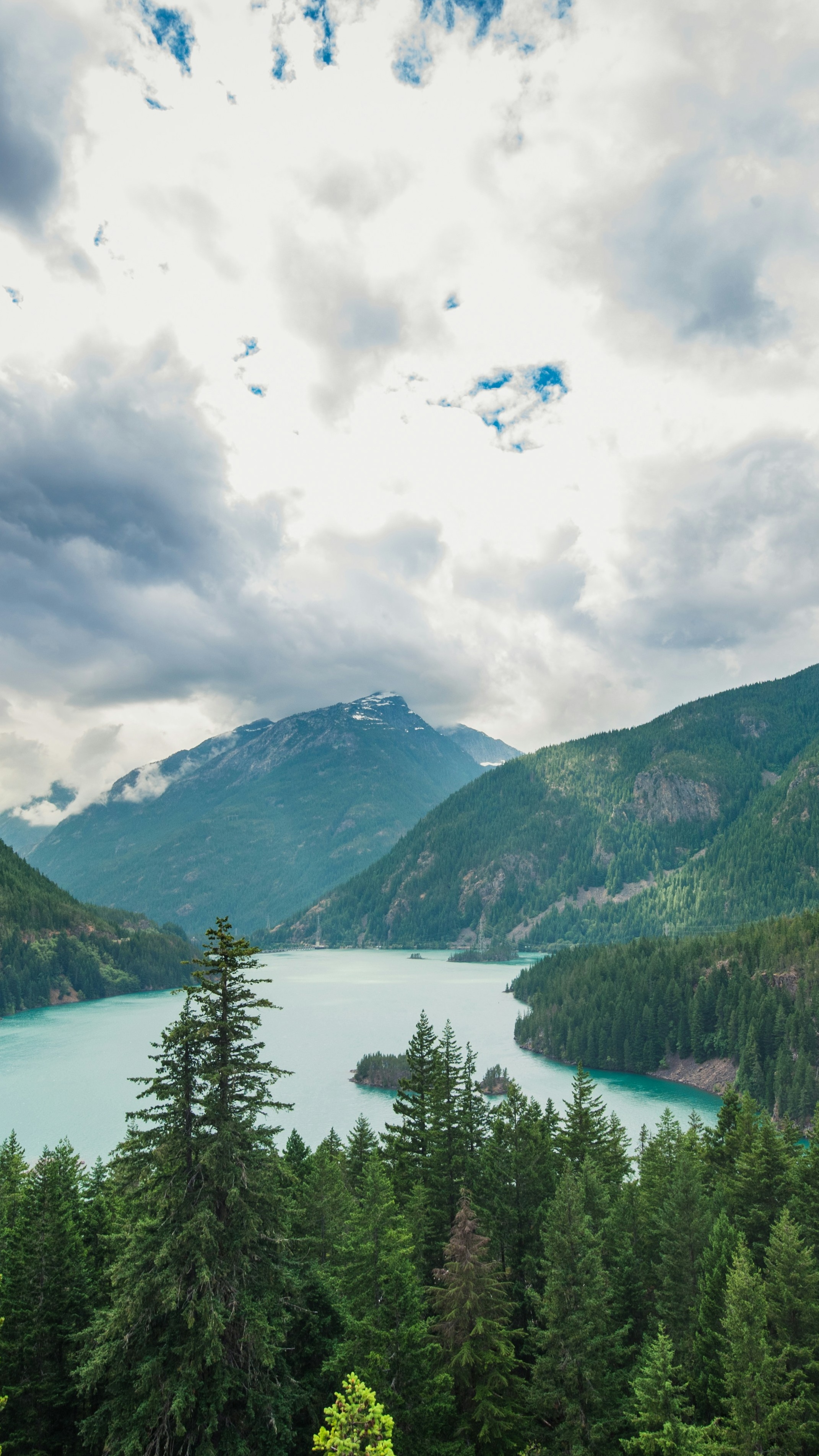 Landscapes