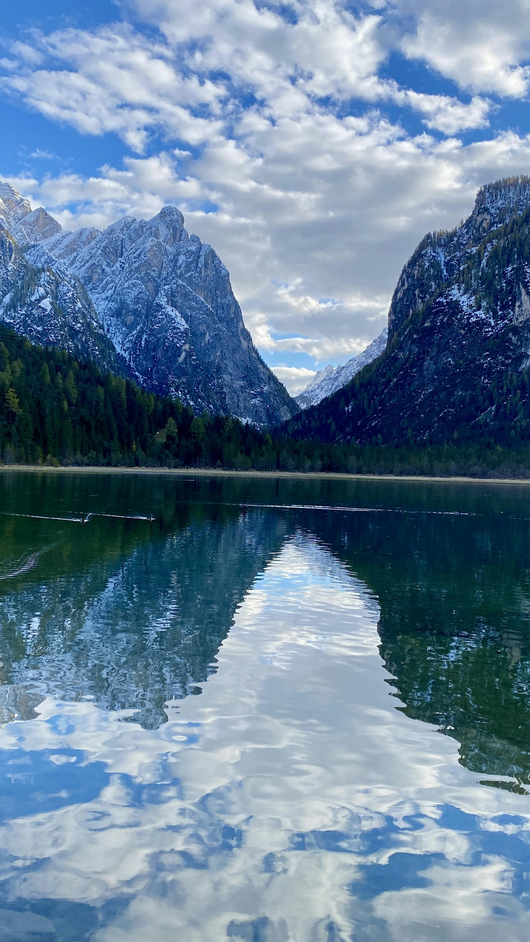 Landscapes
