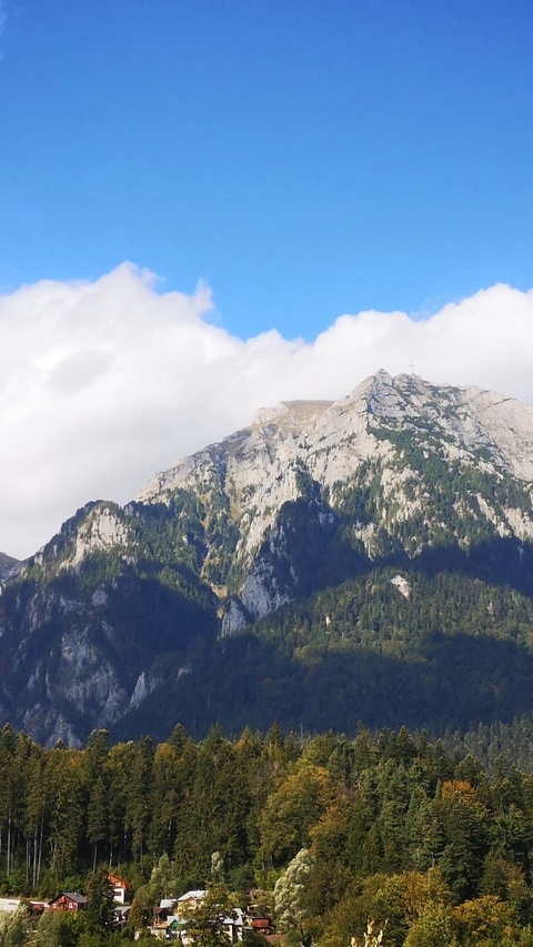 Alpine Mountain Village Landscape